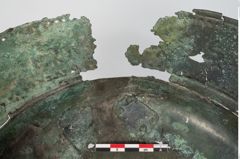 Foto von Bronzebreitrandfußschale (NHMW-PRAE-024138)